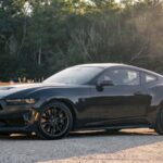 The Ford Mustang Dark Horse Rips